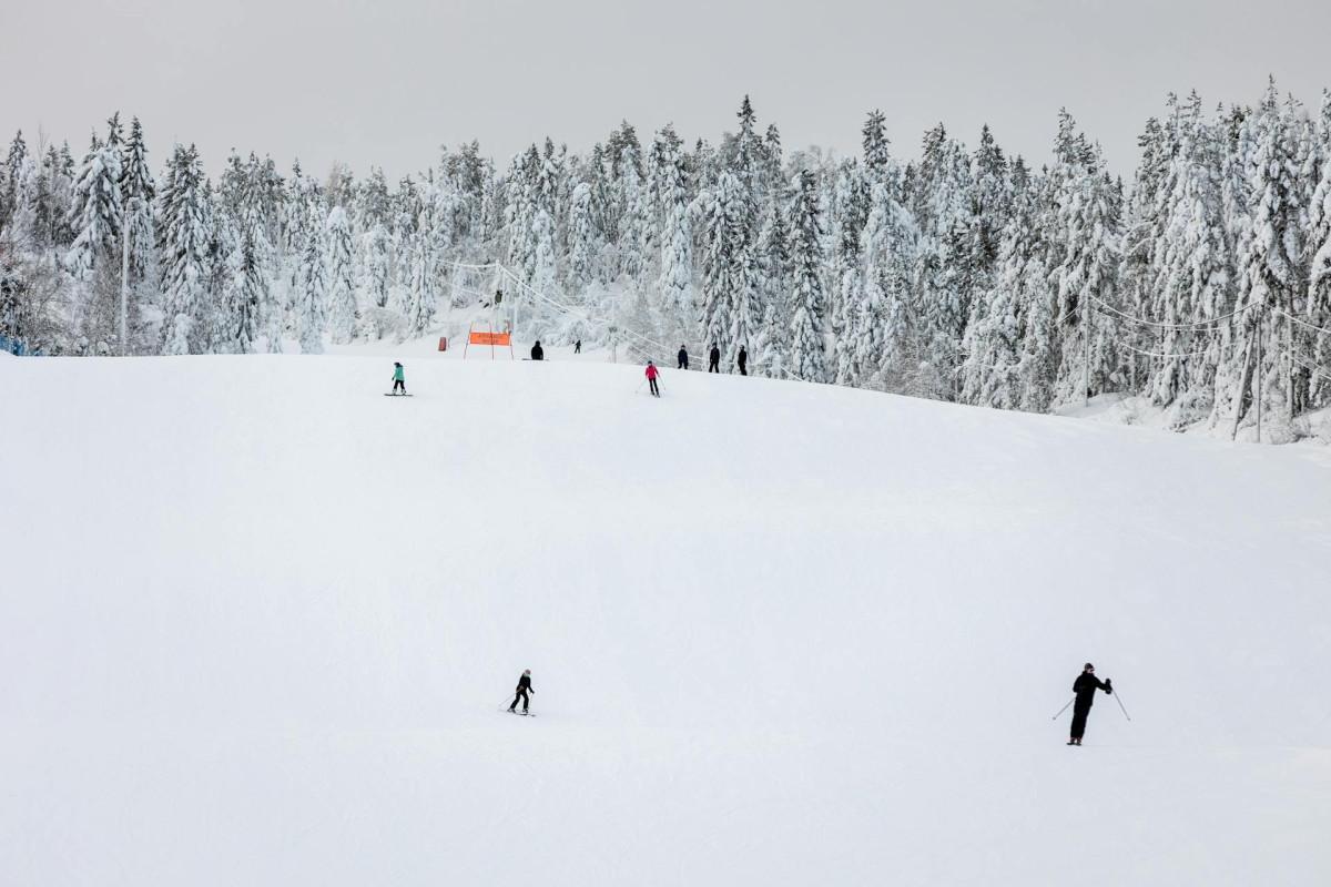 vuokatti-kuvitus-pexels-jamoimages-11747546